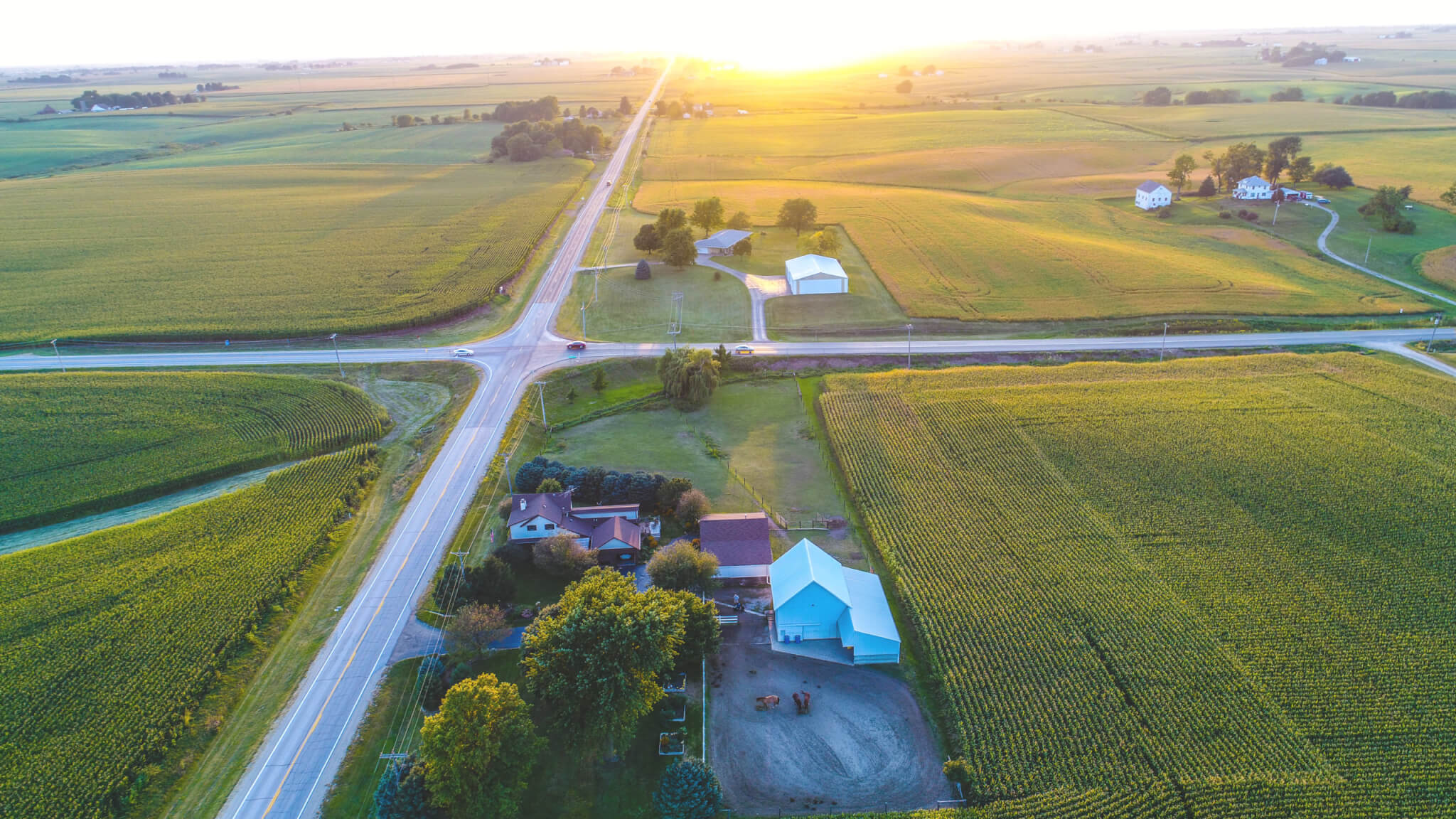 Quiz: How Well Do You Know Iowa’s State Symbols?