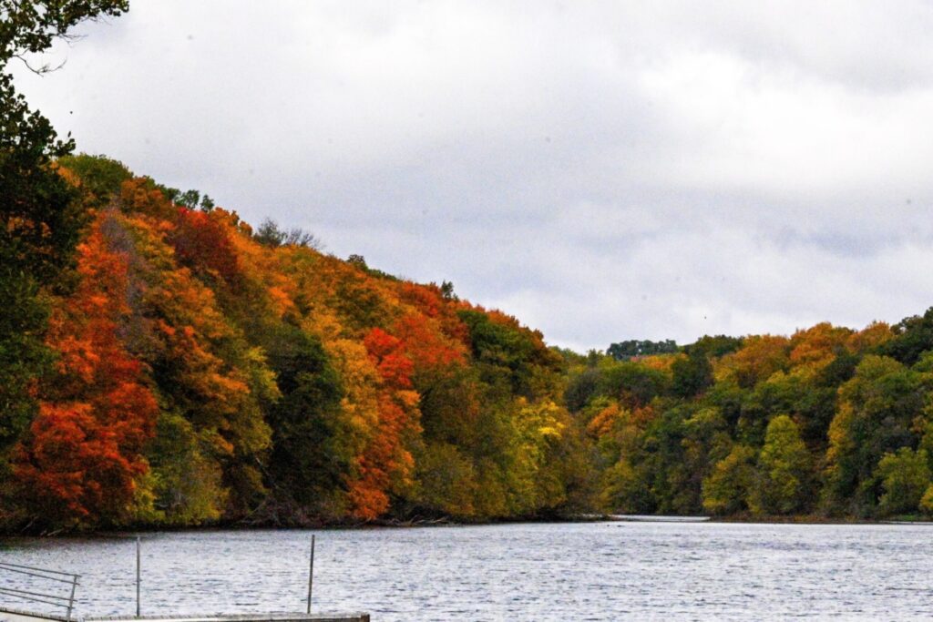 Fall Foliage at Backbone State Park, Iowa