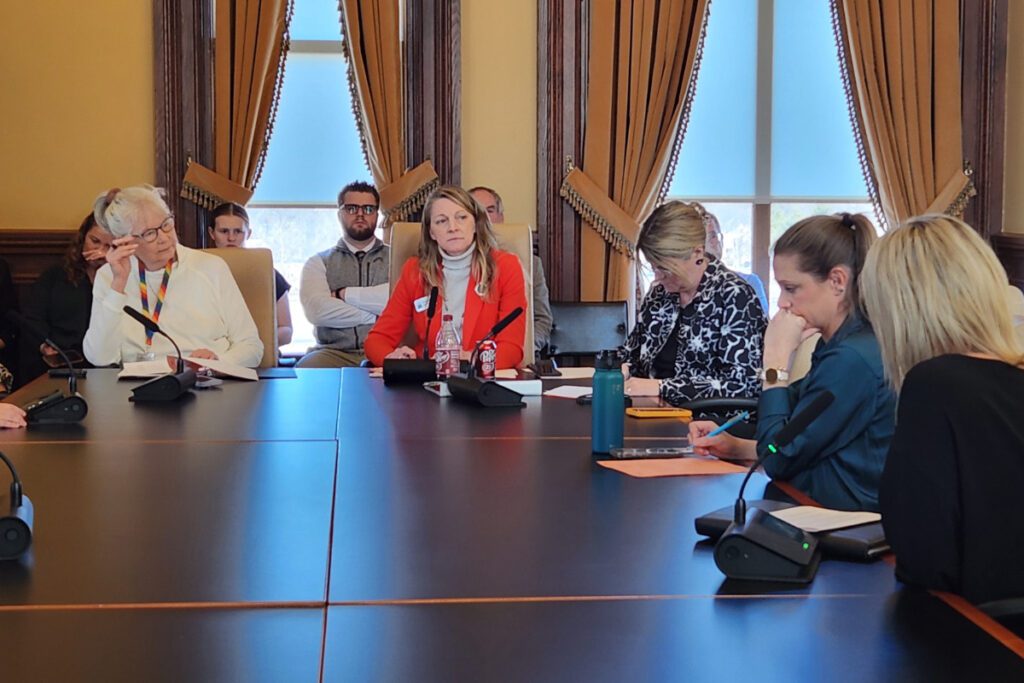 Legislators at the head of the table in the House subcommittee on the bill to require schools show videos about fetal development. Left to right: Reps. Beth Wessel-Kroeschell, Helena Hayes, Brooke Boden, a staffer, Amber Williams testifying